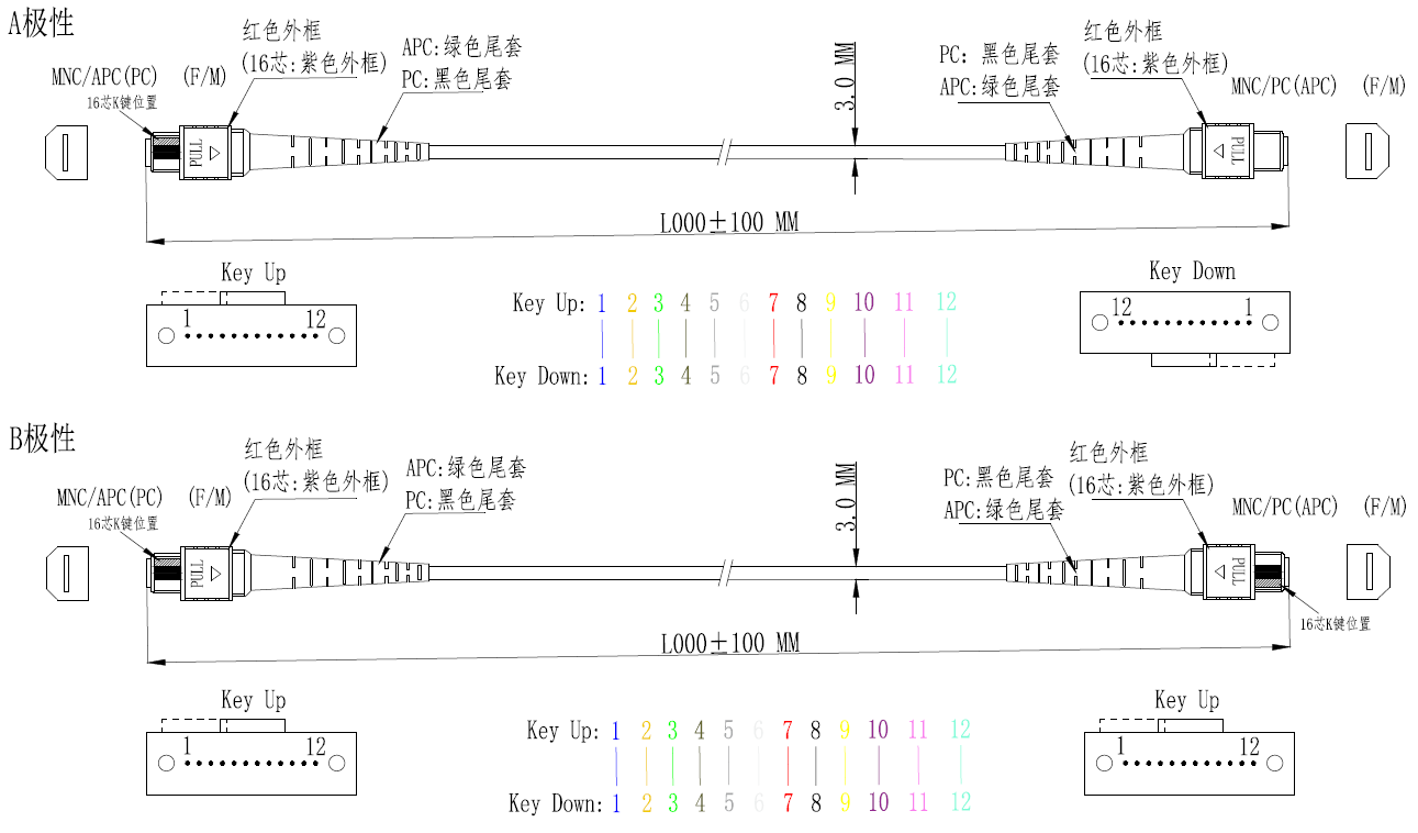 1-230406131QUZ.png